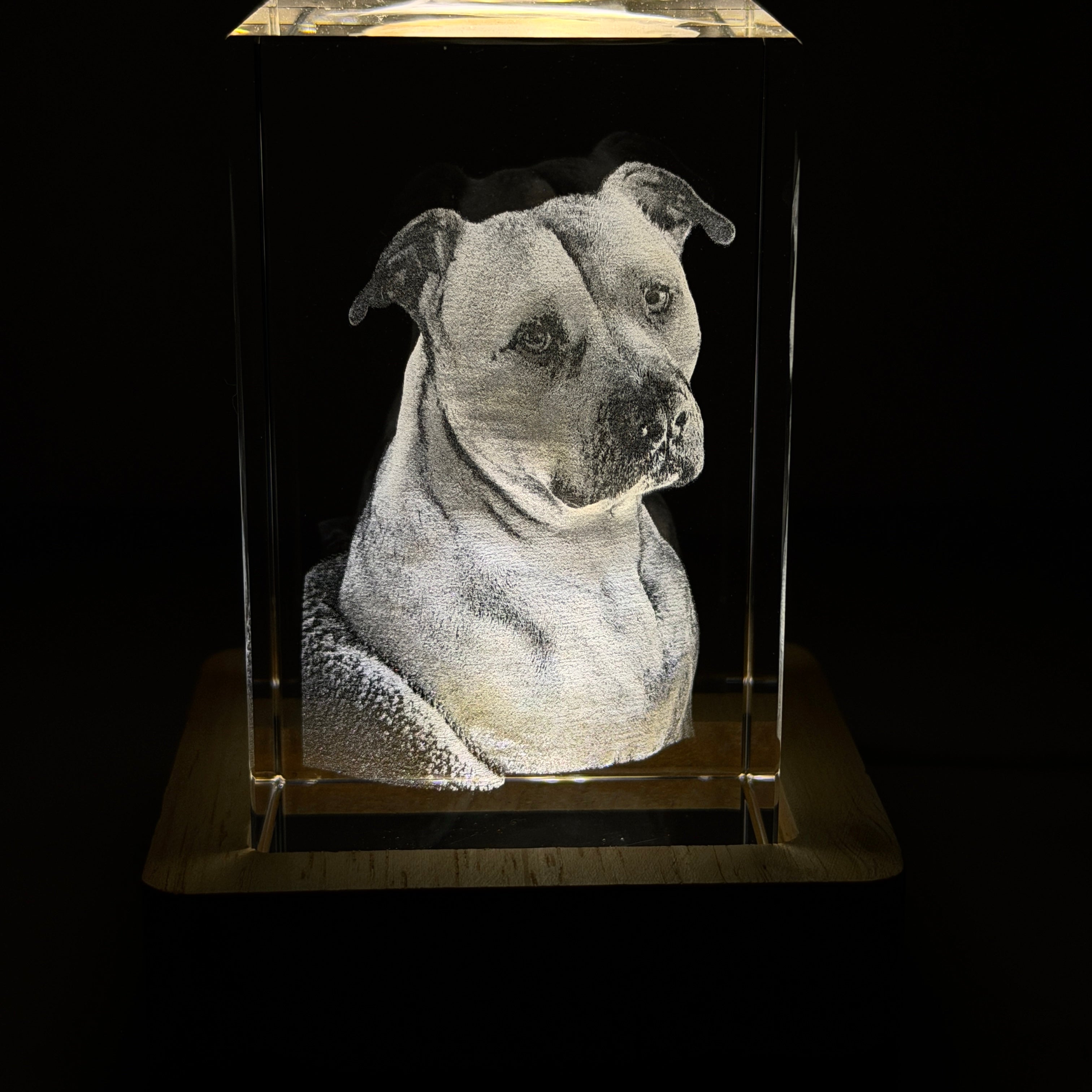 3D laser engraving of a dog's face on a transparent block with a black background
