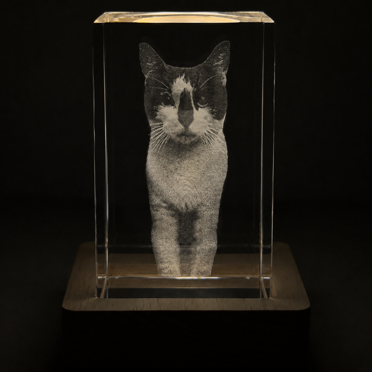 Captured in Light - Personalised Pet Memorial Crystal Keepsake