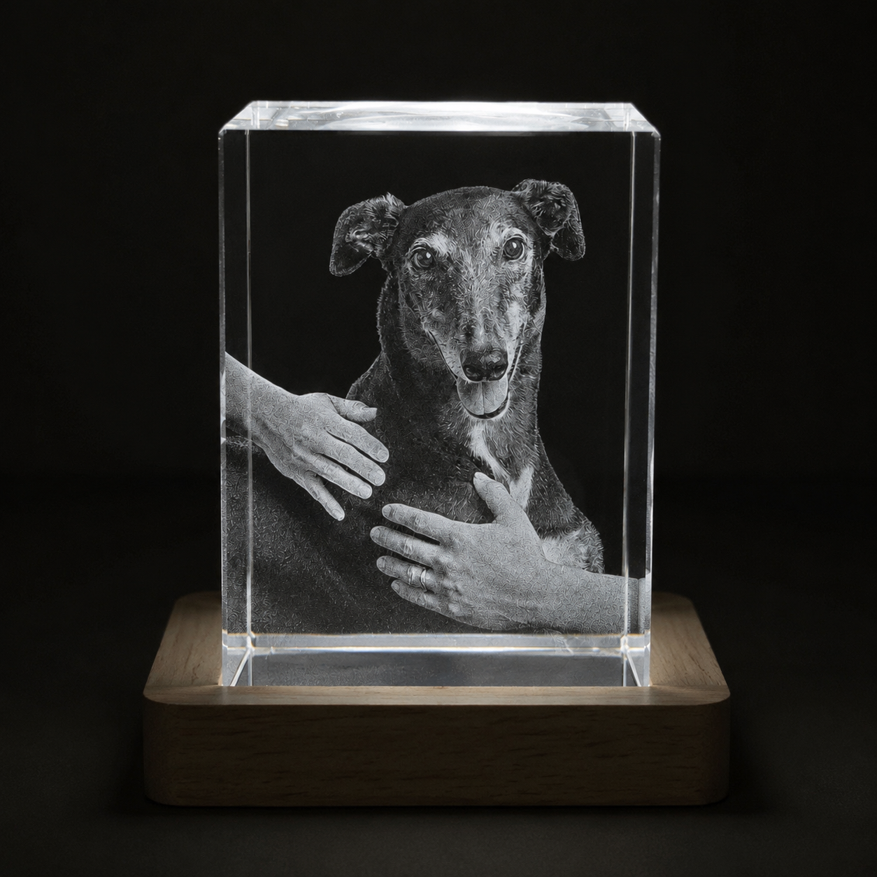 Clear rectangular crystal with engraved image of a dog being petted on a wooden base against a black background