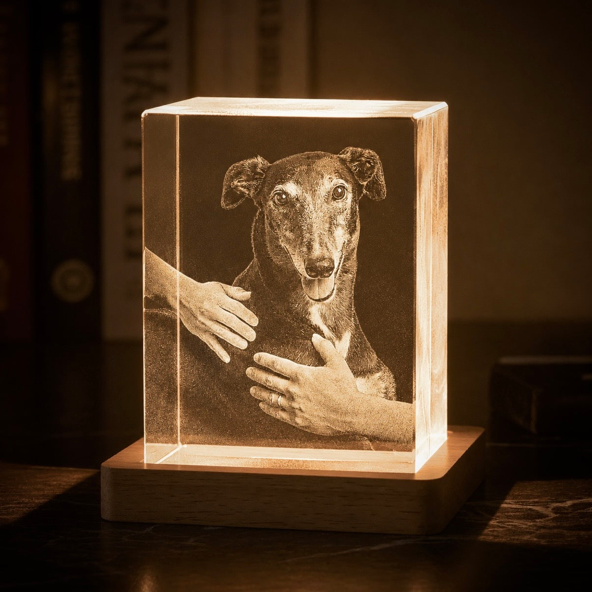 Captured in Light - Personalised Pet Memorial Crystal Keepsake